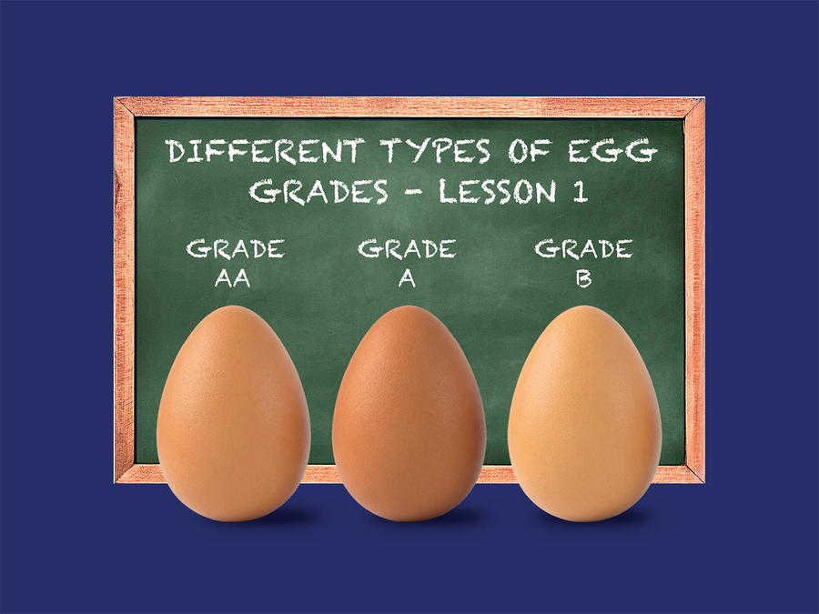 Breaking eggs down: The grades, labels and alternatives