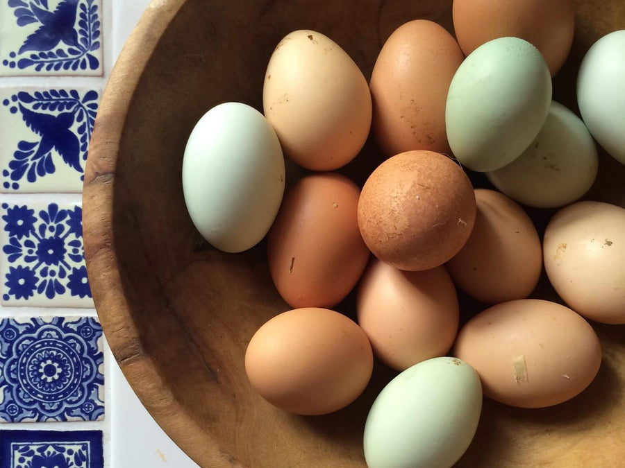 How To Safely Clean and Store Your Fresh Eggs - Our Home & Heritage